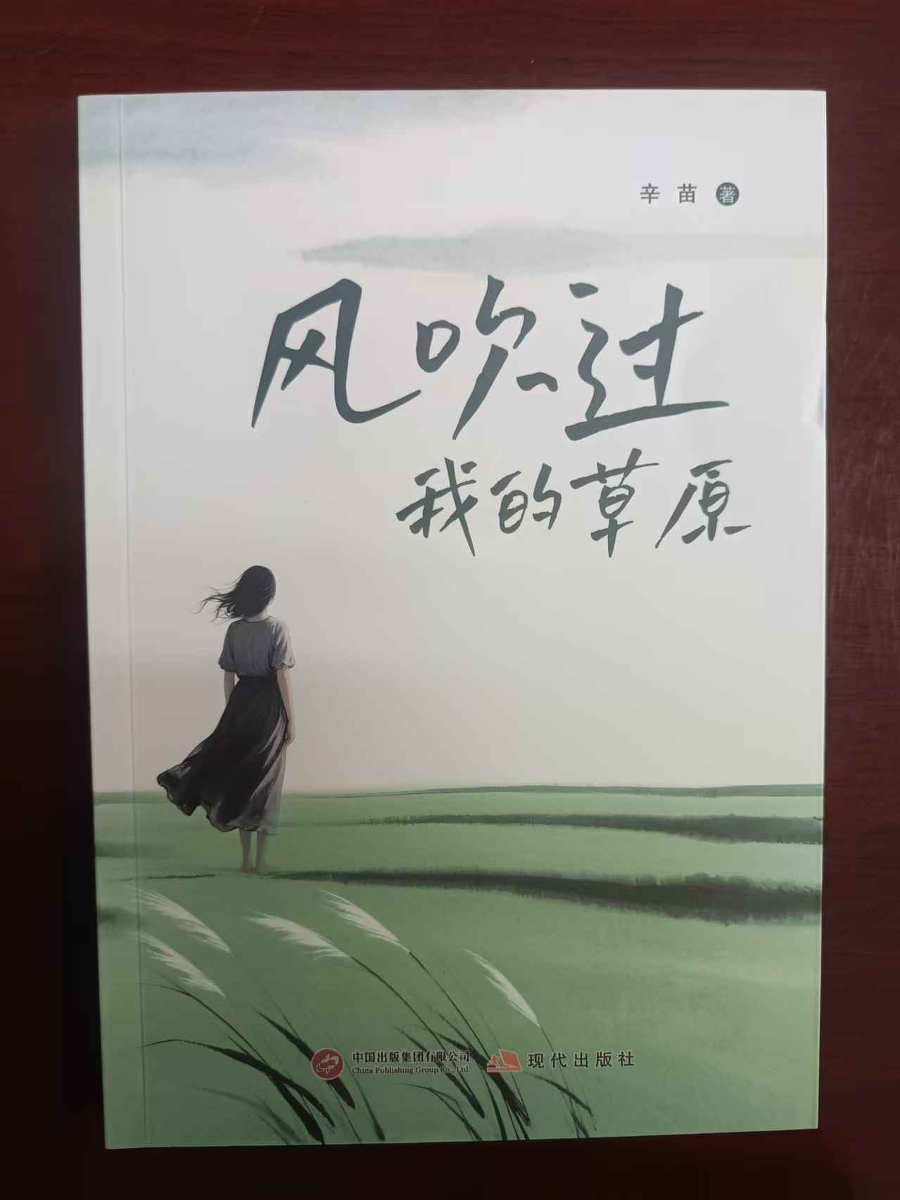 《风吹过我的草原》