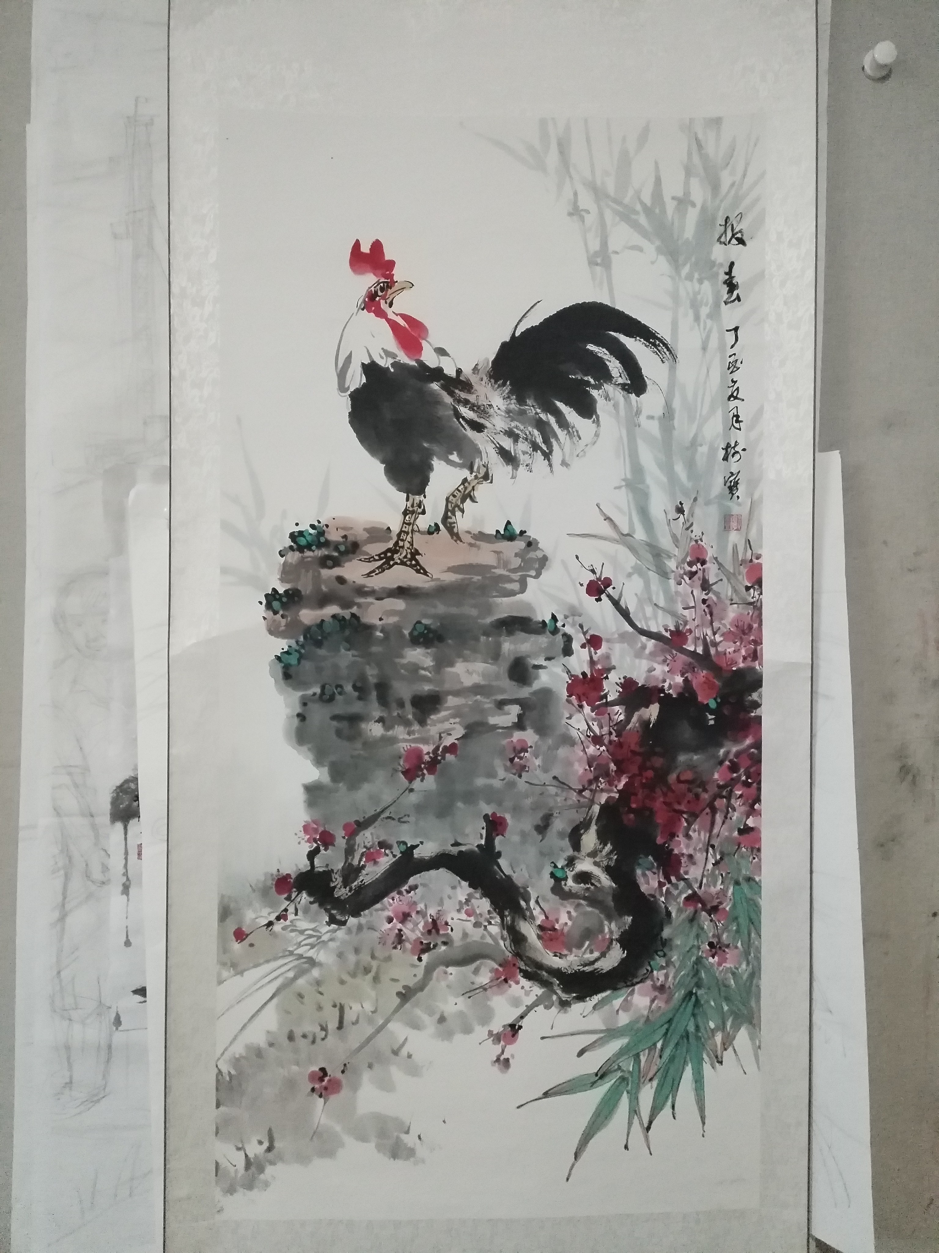 报春f